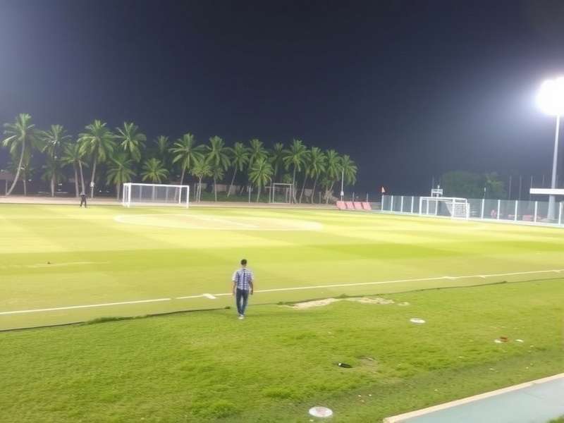 Professional Football Team